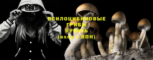 МДПВ Абинск